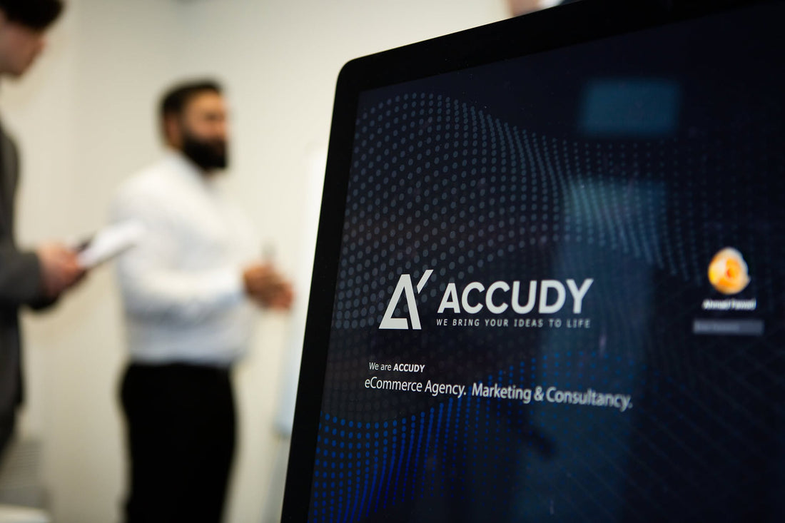 The ACCUDY team at work